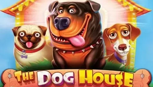 The Dog House Megaways Pragmatic Review Casino Tips