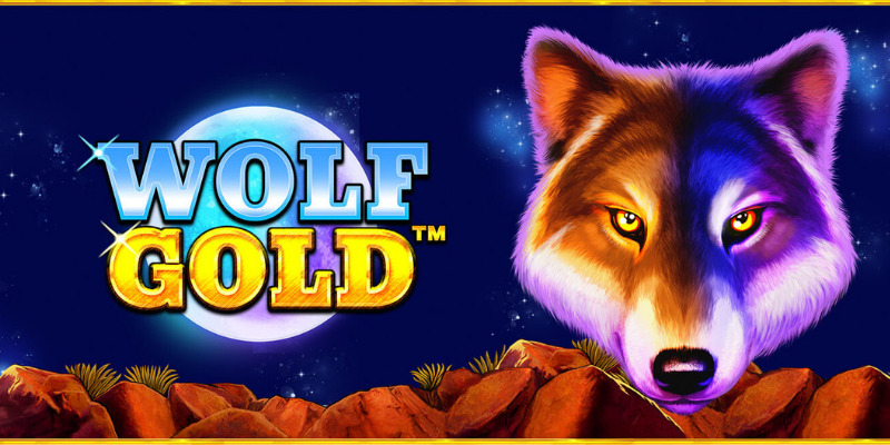 Wolf Gold Pragmatic Review Casino Tips